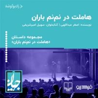 جلد کتاب صوتی هاملت در نم نم باران